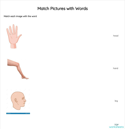 Match Pictures with Words. Interactive worksheet | TopWorksheets