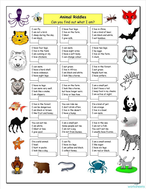ANIMAL RIDDLES. Interactive worksheet | TopWorksheets