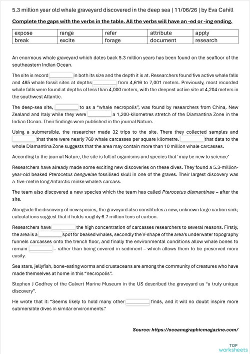 whale graveyard / whale falls. Interactive worksheet | TopWorksheets