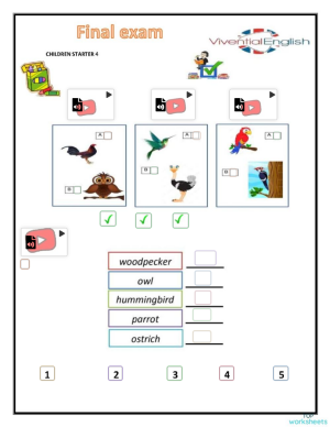 JUNIOR 4 FINAL EXAM. Interactive worksheet | TopWorksheets