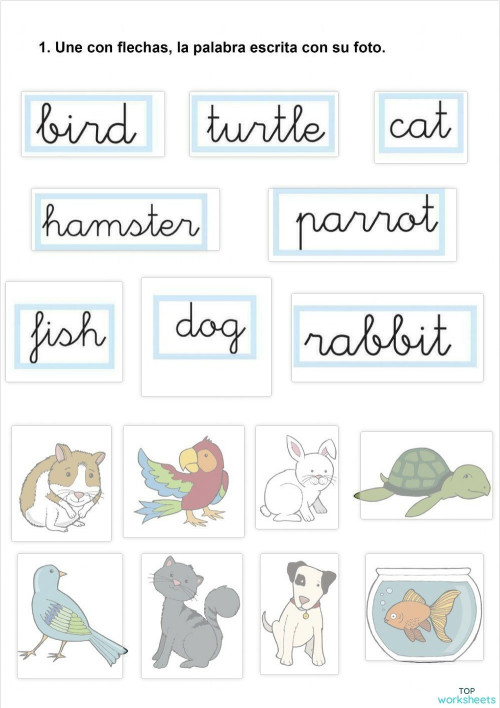 Match the image with the word. Interactive worksheet | TopWorksheets