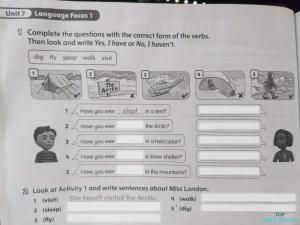 lenguage focus . Interactive worksheet | TopWorksheets