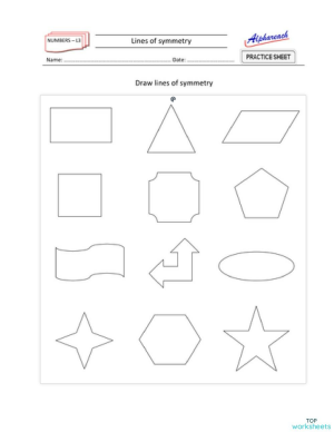 y4 symmetry 3 interactive worksheet topworksheets