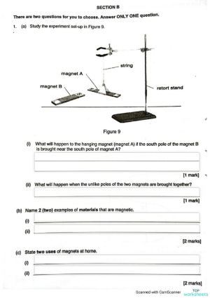 natural science interactive worksheets and online exercises topworksheets