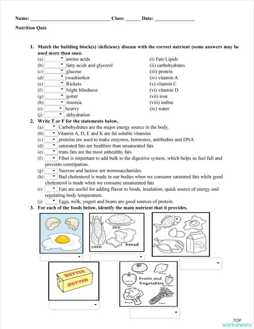 Six essential nutrients. Interactive worksheet | TopWorksheets