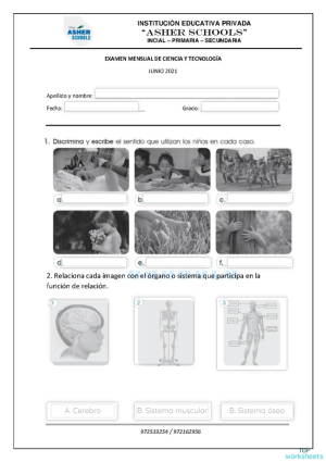 Evaluación mensual de Ciencia y tecnología. Ficha interactiva ...