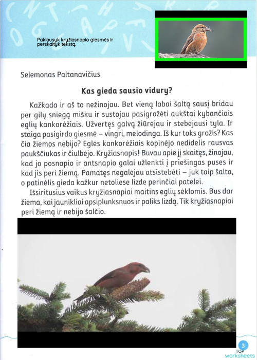L.K.1 SKAITINIAI. Kas gieda sausio vidury?. Interactive worksheet ...