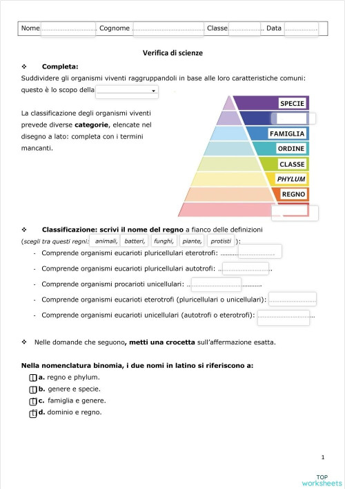 Scienze naturali: schede interattive ed esercizi online | TopWorksheets