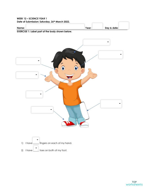 week 12 science year 1 interactive worksheet topworksheets