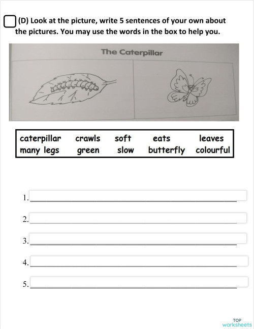 CW-1 (CWE7D Page 53). Interactive worksheet | TopWorksheets