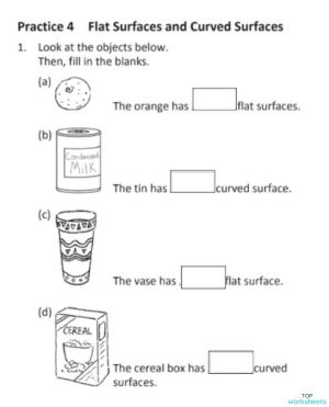 Flat And Curved Surfaces Worksheet prntbl concejomunicipaldechinu gov co Flat And Curved Surfaces Worksheet prntbl concejomunicipaldechinu gov co