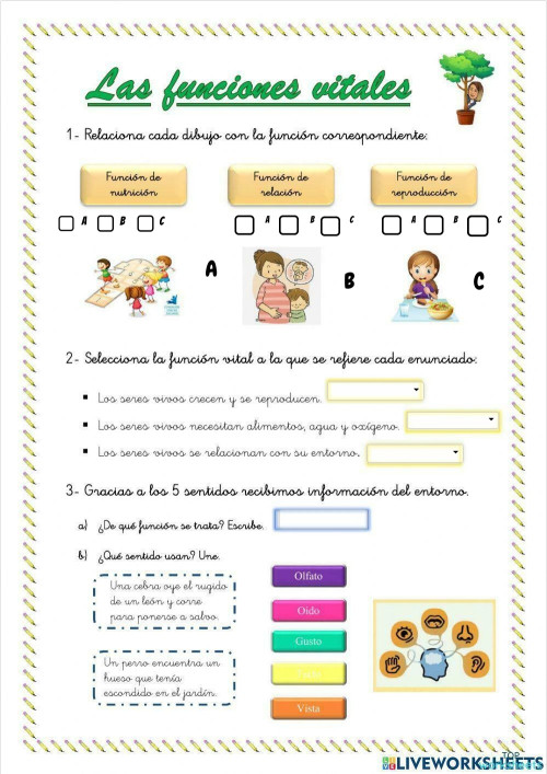 las-funciones-vitales-ficha-interactiva-topworksheets