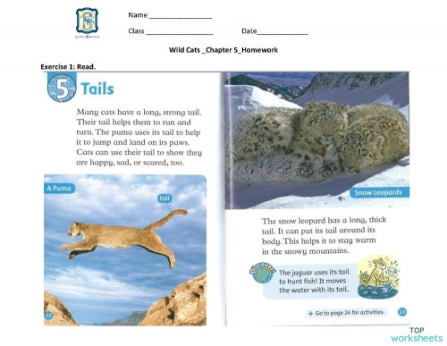 WILD CATS_CHAPTER 5_FEB 18. Interactive worksheet | TopWorksheets