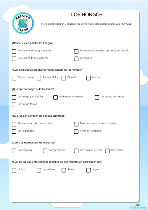 LOS HONGOS. Ficha interactiva | TopWorksheets