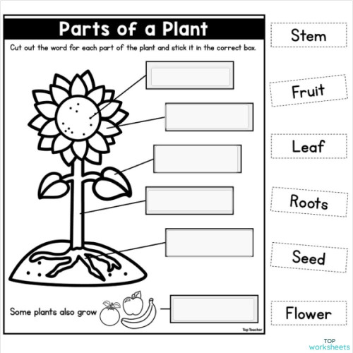writing parts of a part. Interactive worksheet | TopWorksheets
