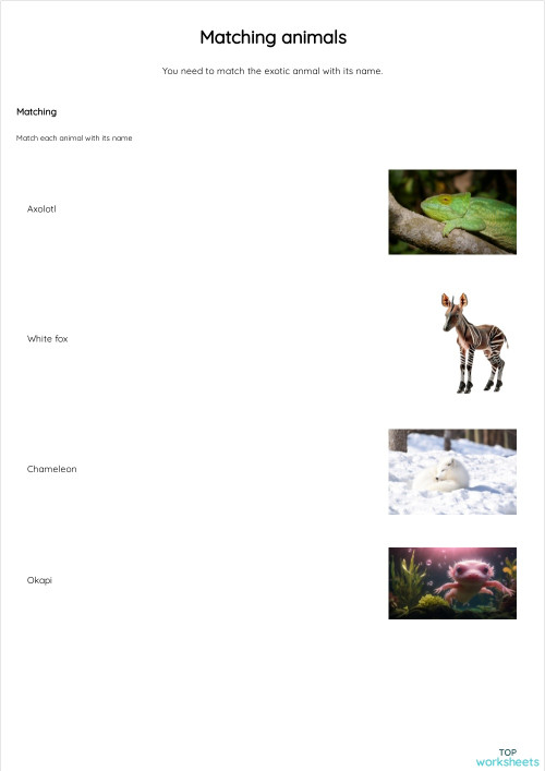 Matching animals. Interactive worksheet | TopWorksheets