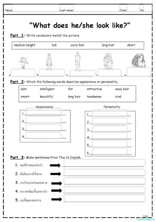 What does he/she look like? ใบงานเชิงโต้ตอบ | TopWorksheets