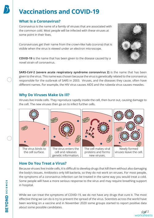 interactive worksheets and online exercises in english topworksheets
