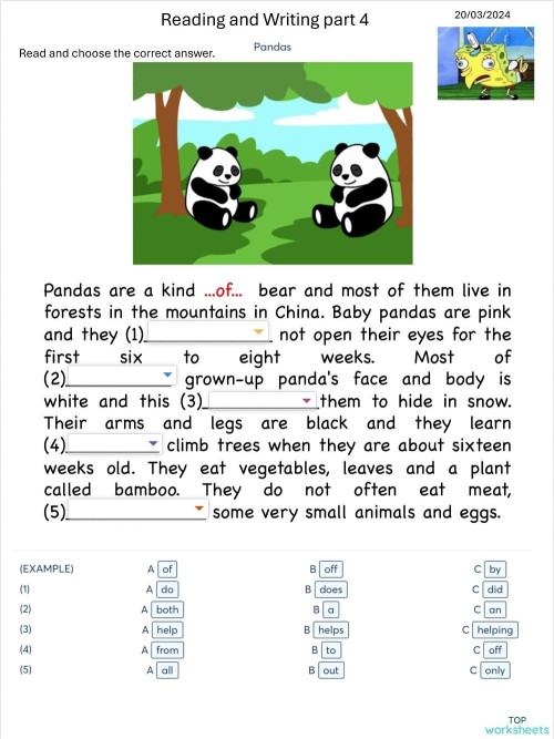 Test 12 Pandas p4 Mvrs. Interactive worksheet | TopWorksheets
