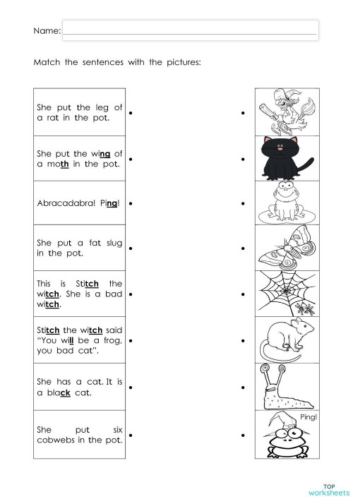 Read and match. Interactive worksheet | TopWorksheets