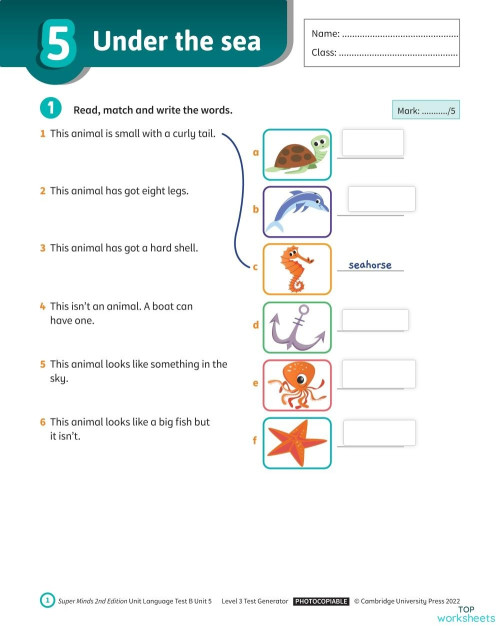 super minds 3 unit 5 worksheet