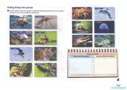 WORKBOOK ACTIVITY 6. Interactive worksheet | TopWorksheets