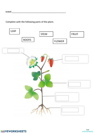 natural science interactive worksheets and online exercises topworksheets