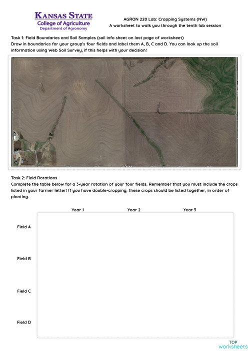 Lab 10: Cropping Systems (NE). Interactive worksheet | TopWorksheets