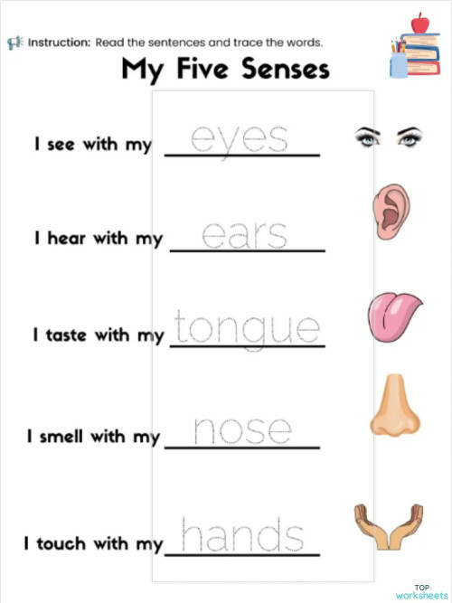 ACTIVITY BODY PARTS K2 NO.3. Interactive worksheet | TopWorksheets