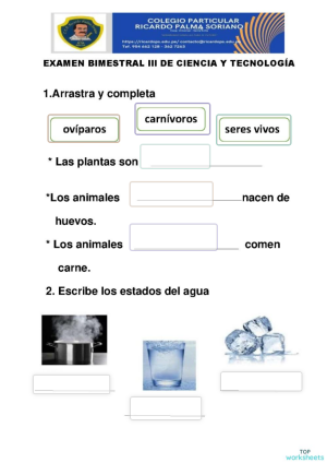 Ex. Bimestral lll de Ciencia y Tecnología. Ficha interactiva ...