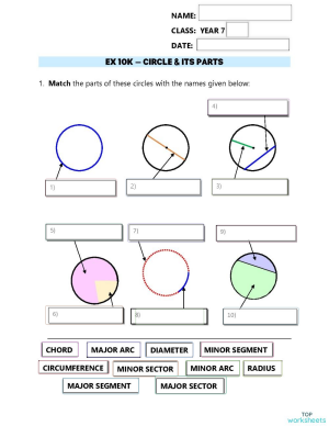 Circle And Its Parts Interactive Worksheet Topworksheets