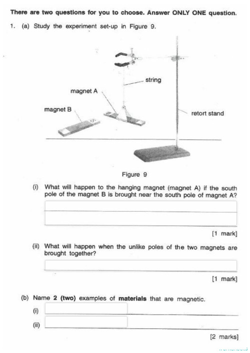 PSR Science Paper 2 2018 - Section B. Interactive worksheet | TopWorksheets