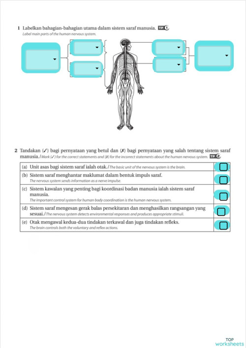 (1)F3ScU1StgASub. Interactive worksheet | TopWorksheets