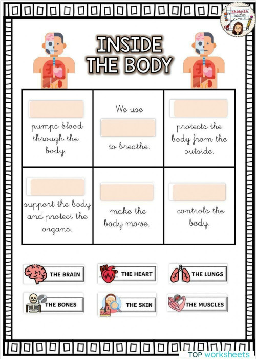 Inside the body - functions. Interactive worksheet | TopWorksheets