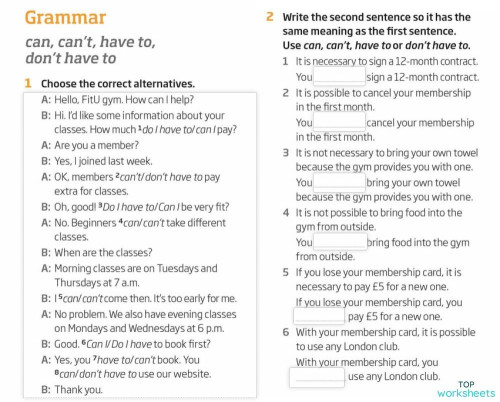 Can And Have To Exercises Pdf