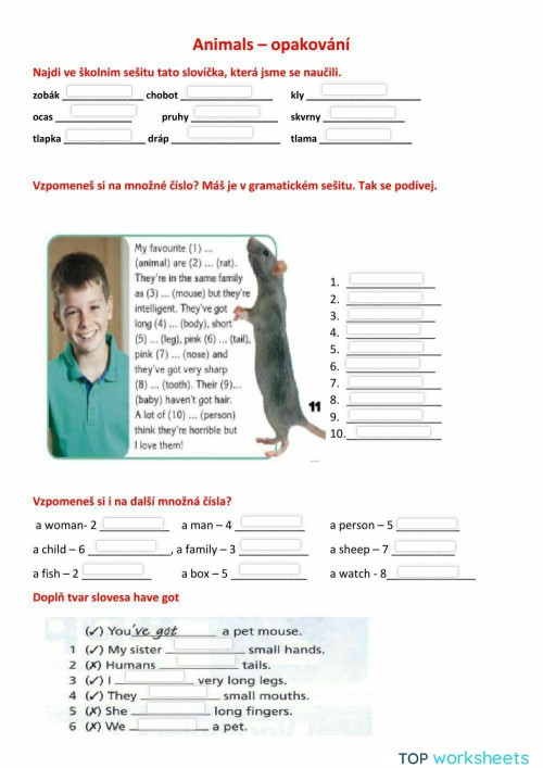 Motivate 1, unit 2 Animals. Interactive worksheet | TopWorksheets