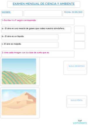 EXAMEN MENSUAL DE CIENCIA Y AMBIENTE. Ficha interactiva | TopWorksheets