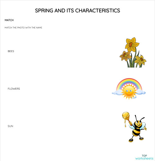 Weather: interactive worksheets and online exercises | TopWorksheets