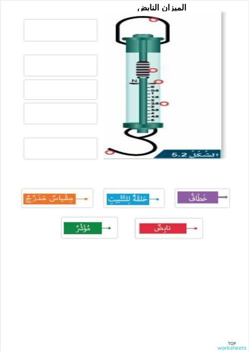 الميزان النابض. ورقة عمل تفاعلية | TopWorksheets
