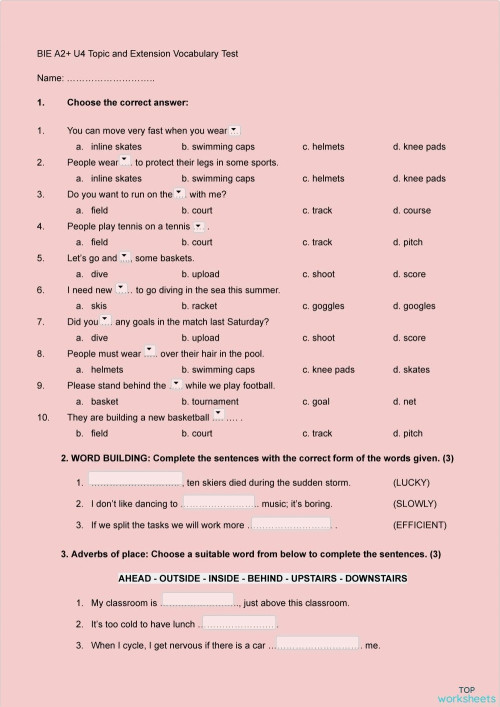 BIE A2+ U4 Topic and Extension Vocabulary Test. Interactive worksheet