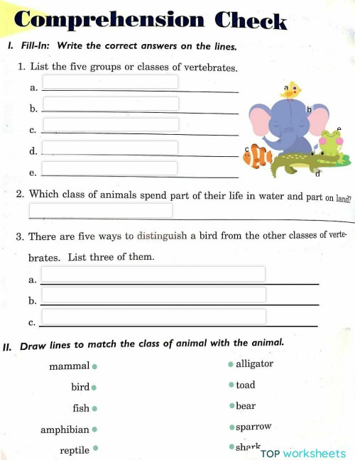 Vertebrate animals. Interactive worksheet | TopWorksheets