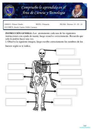 Evaluación de Ciencia y Tecnología. Ficha interactiva | TopWorksheets