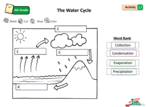 4th Activity17. Interactive worksheet | TopWorksheets