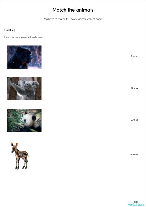 Match the animals. Interactive worksheet | TopWorksheets