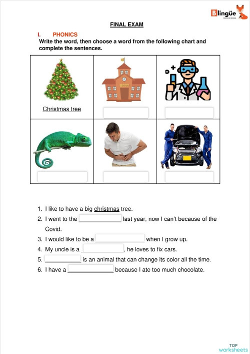 Grammar Interactive Worksheets And Online Exercises Topworksheets