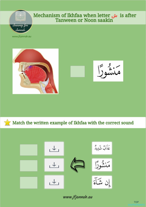 الإخفاء عند ش. ورقة عمل تفاعلية | TopWorksheets