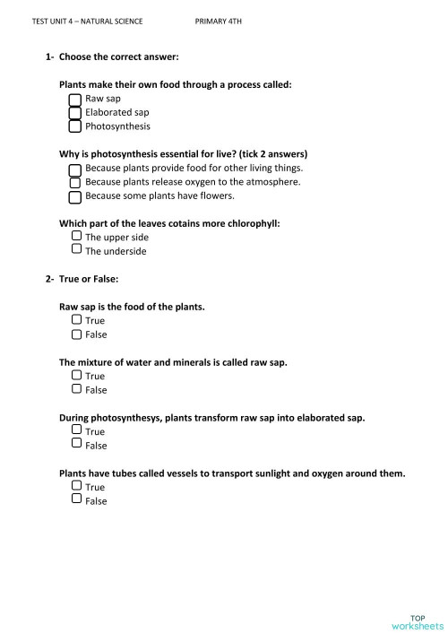 test unit 4 plants primary 4th. Interactive worksheet | TopWorksheets