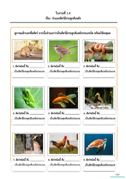 สัตว์มีกระดูกสันหลัง ใบงานเชิงโต้ตอบ | TopWorksheets