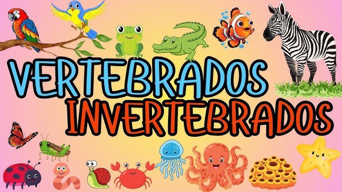 SOPA DE LETRAS ANIMALES VERTEBRADOS E INVERTEBRADOS. Ficha interactiva ...