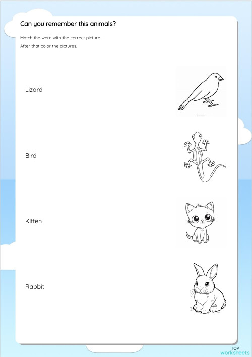 Little animals. Ficha interactiva | TopWorksheets